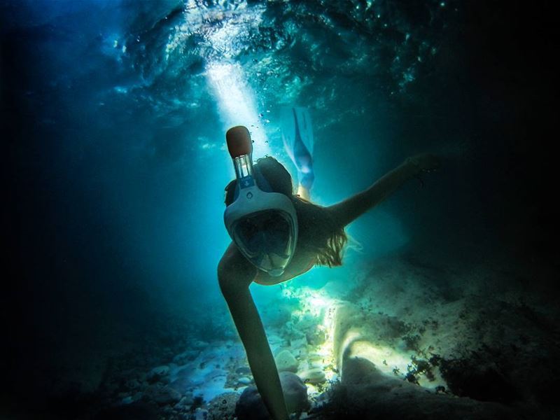 You'll always find a light... underwater  underwaterphotography ...