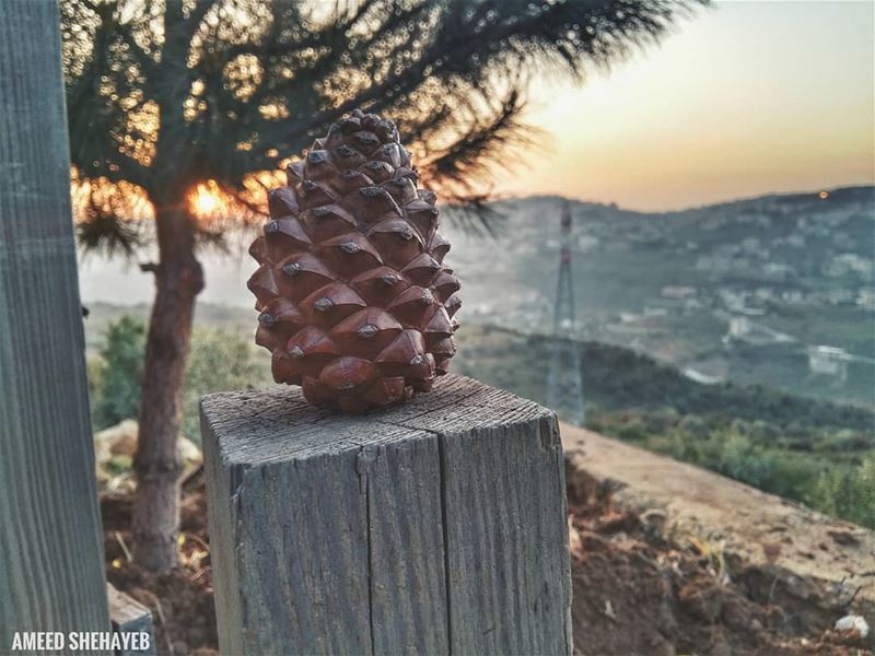 "You'll never find peace of mind until you listen to your heart." - George... (Aley District)