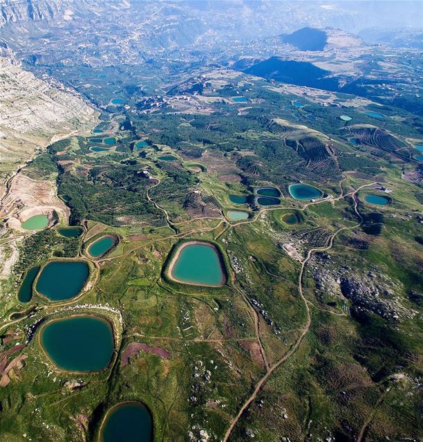 You might be a big fish in a little pond.📍Akoura, Lebanon | 2018..━ ━... (Akoura, Mont-Liban, Lebanon)