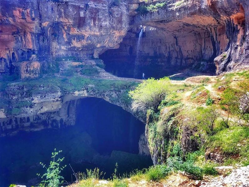 You must go on adventures to find out where you truly belong 👣💚💙 ... (Tannourine - Balou' Balaa)