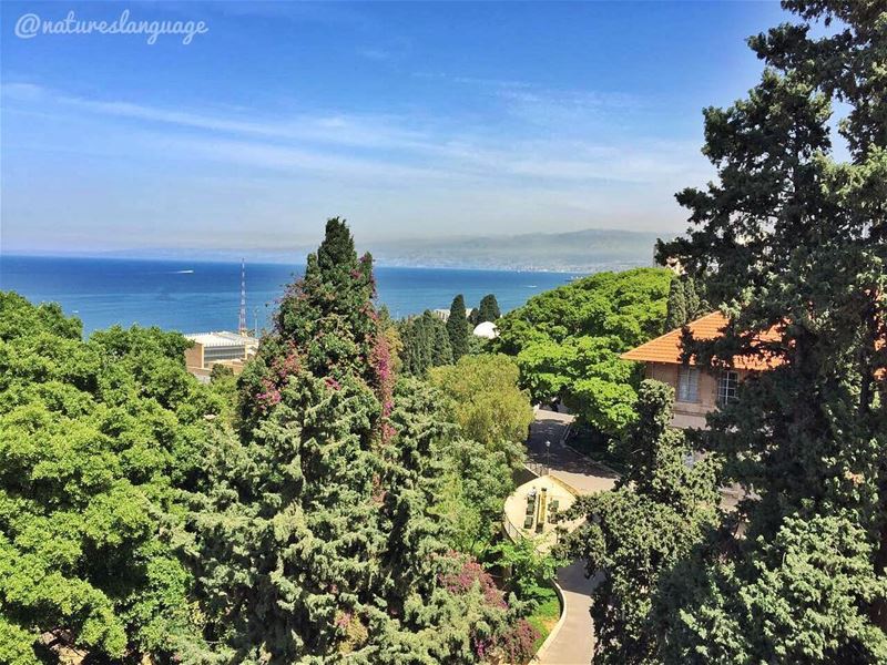 You will be missed  aub  2017graduate  lebanon  mylebanon  lebanon_hdr ... (American University of Beirut (AUB))