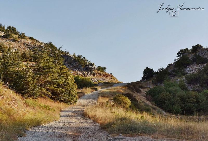 "You will never reach your destination if you never try."  destination ... (Al Shouf Cedar Nature Reserve)