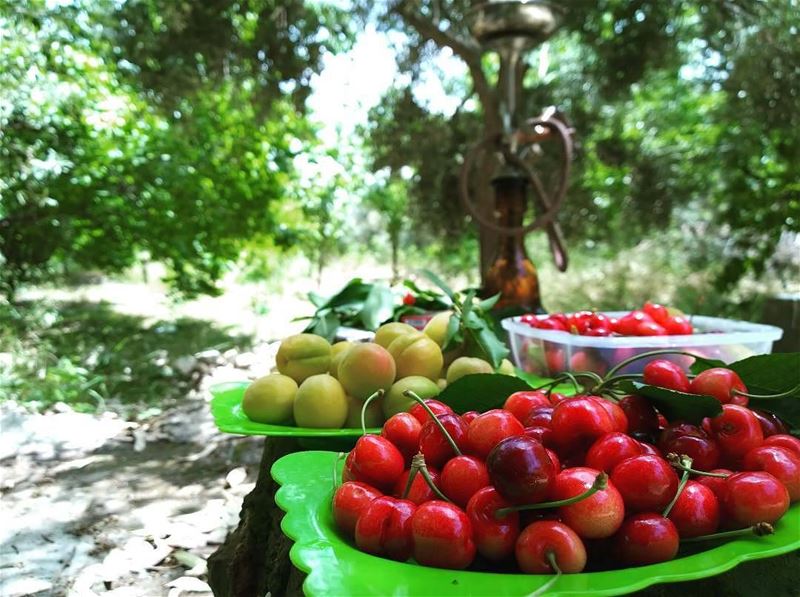 Yummmiiii!!!Photo credits to @firassafwan spring  hermel  bekaa  lebanon...