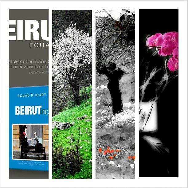 Z book. BEIRUTinc.  beirut  city  ighype  instacanvas  instaprints ...