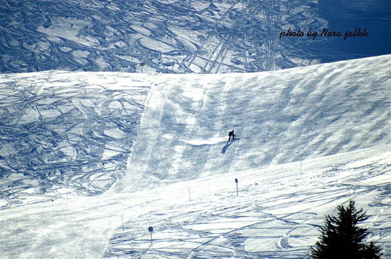 🌞🌞🌞🏂⛷🎿  zaarour  livelovezaarour winter Livelovelebanon ...