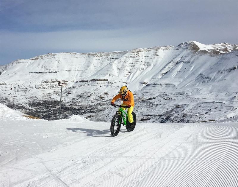 @zaarourclub The place where you wanna be ! (Summer & Winter) 🚴🏻⛷🏔 ... (Zaarour Club)