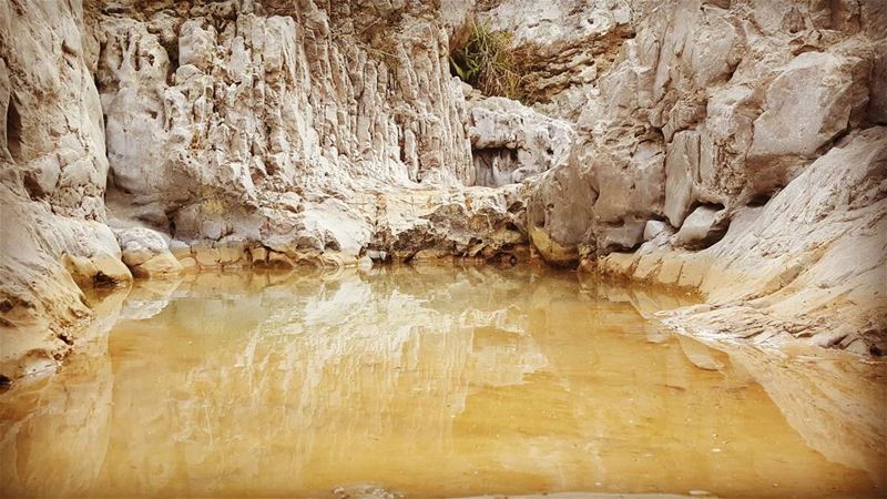  zaarourclub  zaarour  baskintalebanon  baskinta  hike  hikingtrail ...