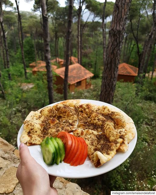 Zaatar Mankoushe and Forest view 🌳🏡 Can you ever resist? 😋...
