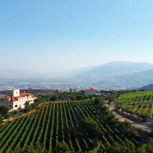  zahle  chateaukhoury  winery  mountains  grapes  clouds  livelovezahle ... (Chateau Khoury)