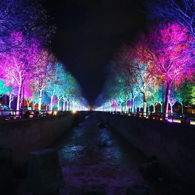 Zahlé ya dar el salam .  Zahle  christmas  Lebanon  winter  trees ... (Zahlé, Lebanon)