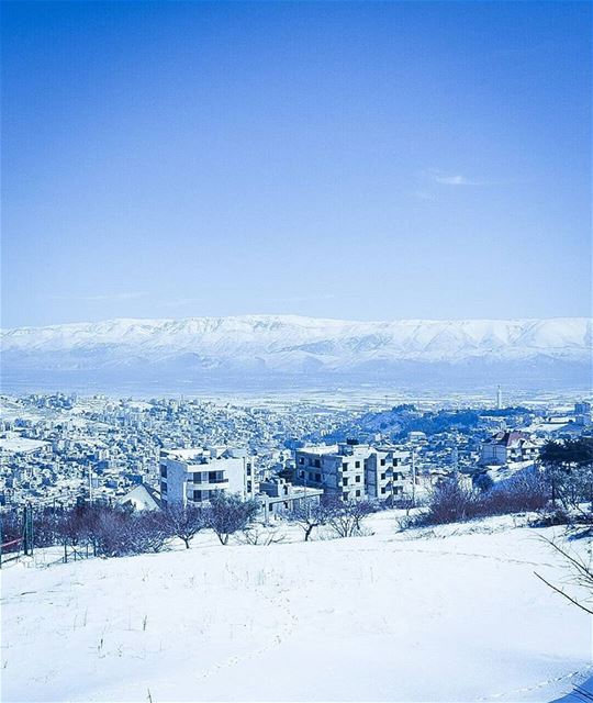  Zahle  zahlelebanon  snow  2017  tree  like4like  followforfollow ... (مقام سيدة زحلة والبقاع)