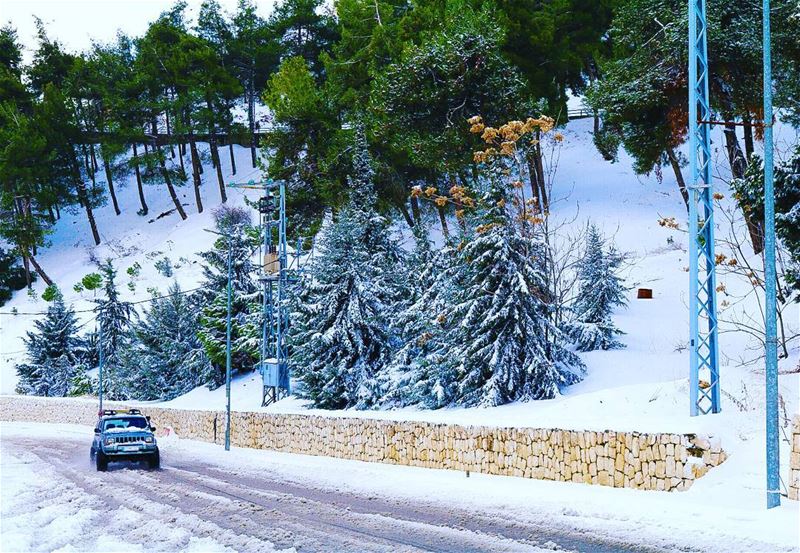  Zahle  zahlelebanon  snow  2017  tree  like4like  followforfollow ... (Zahlé, Lebanon)