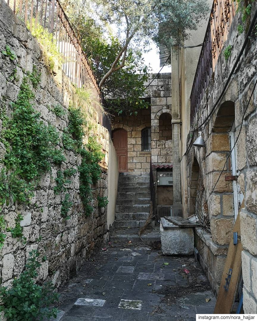 Zawarib  lebanese  oldhouse  quiet  place  tooquiethere  noonethere ... (Byblos - جبیل)