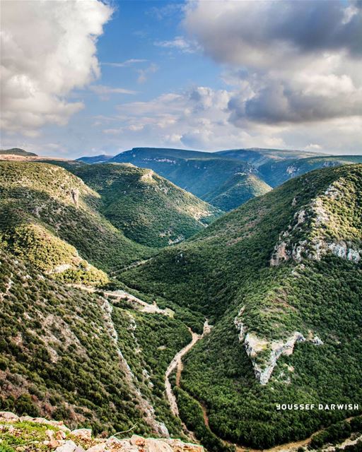  Zebquine  lebanon  mountain  sunset  nature  tree  rock  nikonlebanon ... (Zebquine South Lebanon)