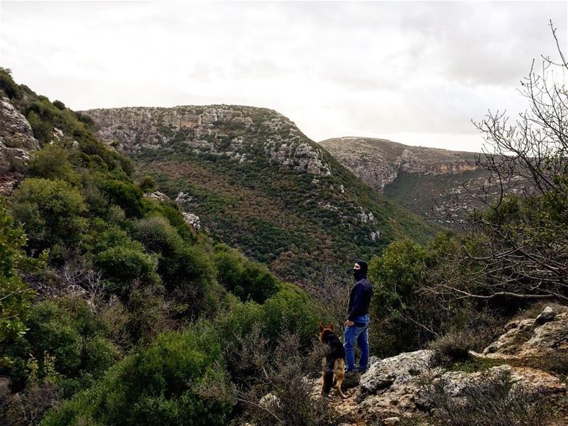 Zebquine valley is in the process of being a natural reserve. Many aspects... (Zebquine South Lebanon)