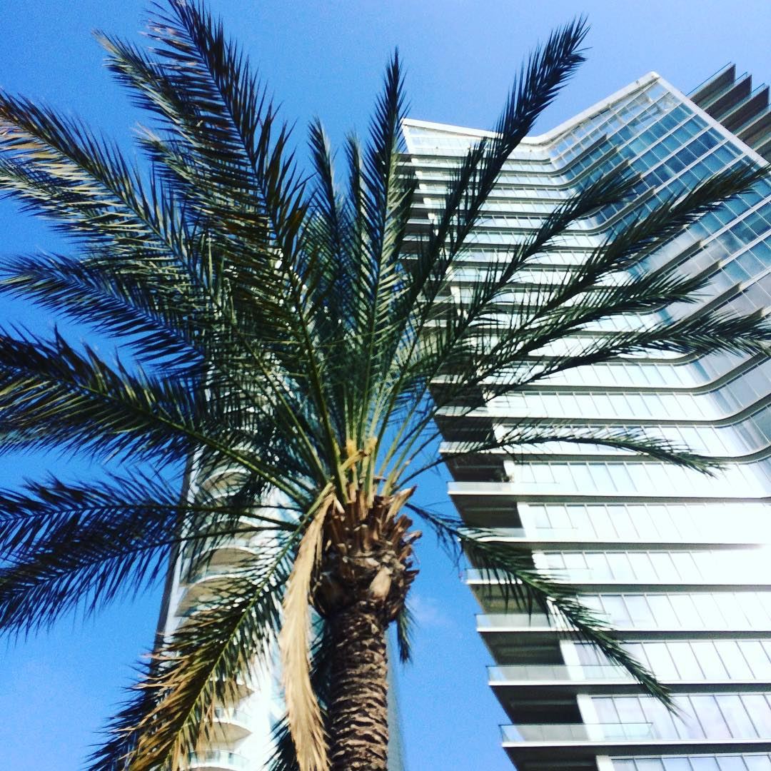 Zeitunay bay 🌴.. palmtree  livelovelebanon  Travelgirl ... (Beirut, Lebanon)