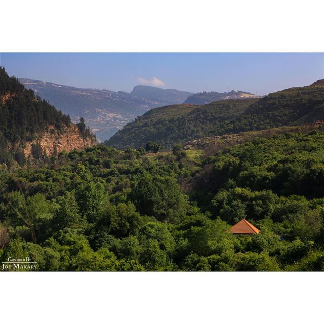  zgharta  koura  nature  oldhouse  trees  hiking  beautifullebanon ...