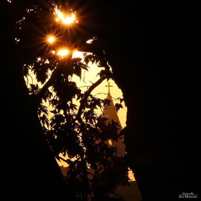  zgharta  sun  trees  livelovelebanon  wearelebanon  ptk_lebanon ...