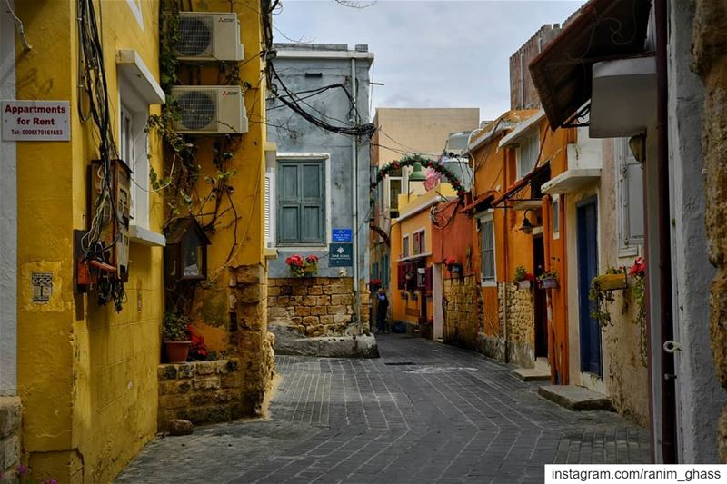 ˡᶤᵛᵉ ᵃ ᶜᵒˡᵒʳᶠᵘˡ ˡᶤᶠᵉ 1, 2, or 3 ? ......... tyrepage ... (Tyre, Lebanon)