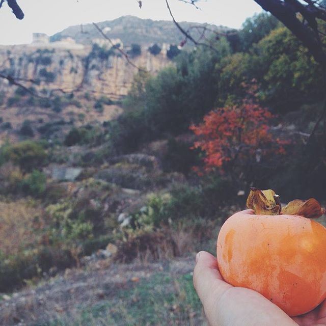 В общем, вы поняли. Она была очень вкусная☺️ Jezzine / Lebanon (Jezzine District)