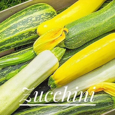 (На русском ⬇️)✅ ZUCCHINILike the cucumber, zucchini is a low-calorie... (LeMall)