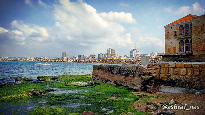 أأسافرُ دونكِ ليلكتييا ظلَّ الله بأجفاني...يا صيفي الأخضرَ ياشمسييا أجمل (Tyre, Lebanon)