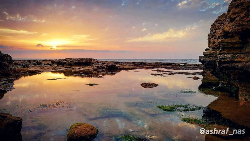 أبلغ عزيزًا فى ثنايا القلب منزلهأني وإن كنت لا ألقاه ألقاه...وإن طرفي موص (Tyre, Lebanon)