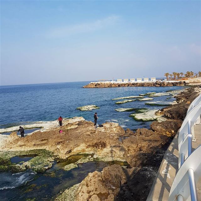 أجمل الصباحات تبدأ بكم...Best mornings begin with you..Good morning dear... (Manara Beirut)