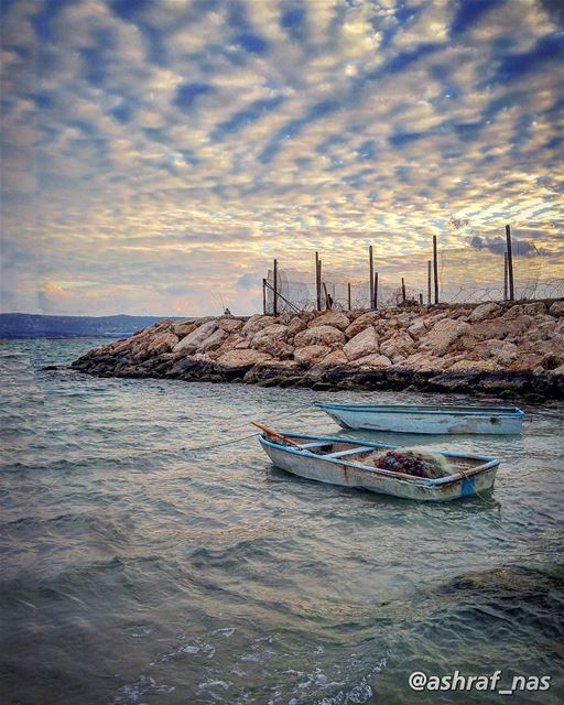 أحبك جداً... جداً جداًوأعرف أني تورطت جداًوأحرقت خلفي جميع المراكب...وأع (Tyre, Lebanon)
