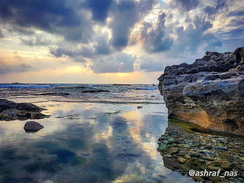 أحترف الحزن والانتظارأرتقب الآتي ولا يأتيتبدّدت زنابق الوقتعشرون عاماً و (Tyre, Lebanon)