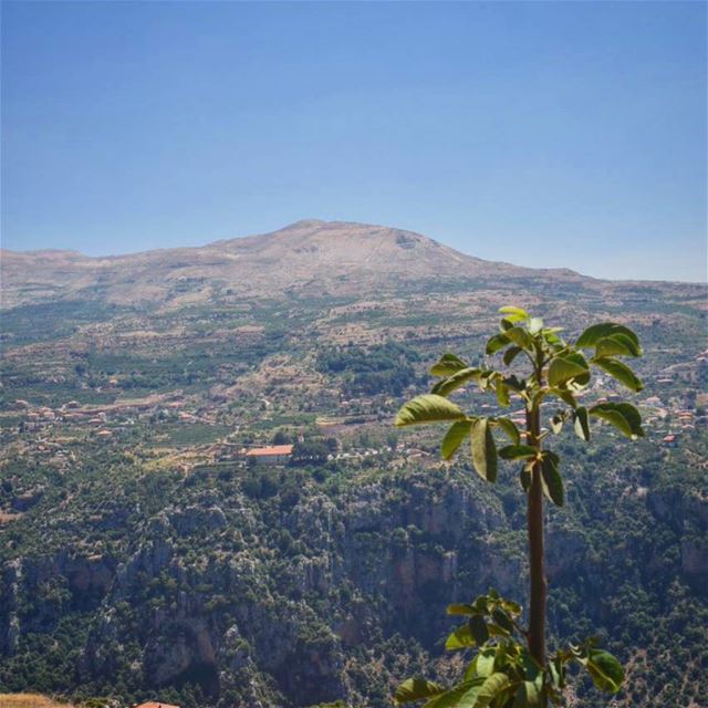 أرض القداسة  الديمان  ig_lebanon  livelovelebanon  lebanon ... (Ad Diman, Liban-Nord, Lebanon)