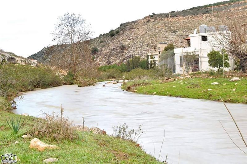 أسعد الله صباحكم بكل خير ☺ river  nature  naturelebanon  lebanonature ...