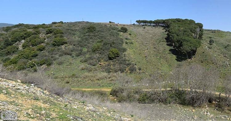 أسعد الله صباحكم بكل خير :)  الدمشقية  جنوب_لبنان  landscape ...