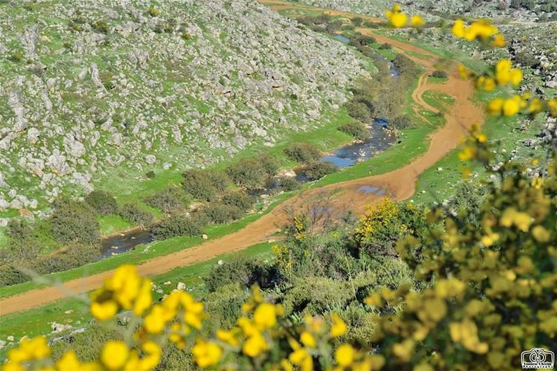 أسعد الله صباحكم بكل خير من  حومين_الفوقا ☺ river  naturelebanon  nature ...