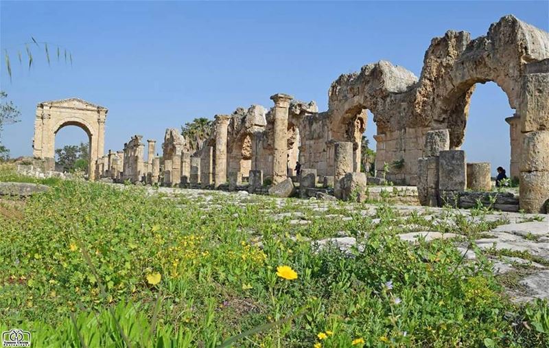 أسعد الله مساءكم بكل خير ☺ tyr  monuments  sour  southlebanon ...