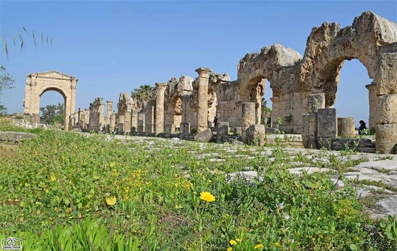 أسعد الله مساءكم بكل خير ☺ tyr  monuments  sour  southlebanon ...