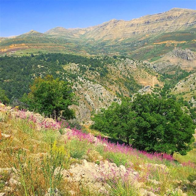 أطياف نسيجٍ جبلي، من على سفحٍ عليّ... thenorthface  adventure  nature ...