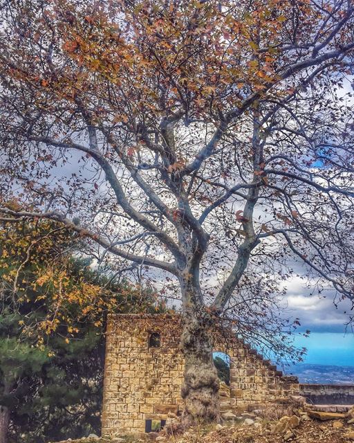 أعماق الينابيع وجذور الأشجار وحجارة الأساس لا تُرى بالعين - الأب الدكتور يو (Ehden, Lebanon)