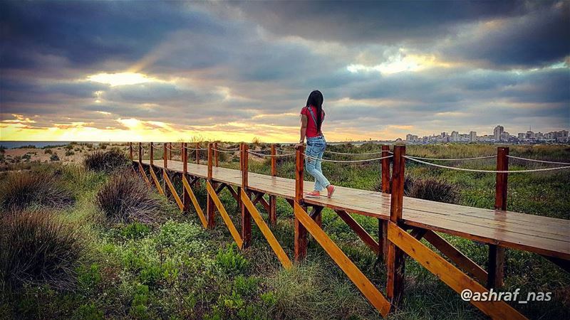 أمس انتهينا فلا كنا ولا كانيا صاحب الوعد خلي الوعد نسيانا...طاف النعاس عل (Tyre Coast Nature Reserve - محمية شاطئ صور الطبيعية)