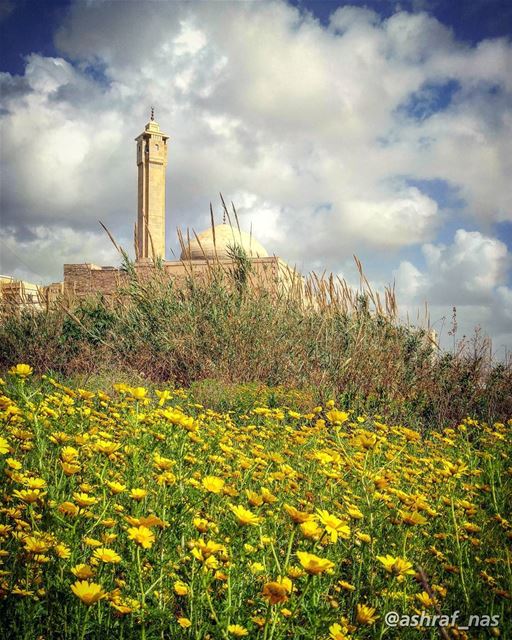 أنا زهرة من زهورك باركني ساعدنيبالدمع بتزرعني بالفرح بتحصدنيعدلك فاض عليي (Tyre, Lebanon)
