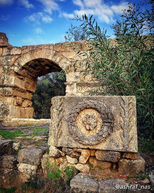 أنا على بابك قصيدةكتبتها الريح العنيدة...أنا حجرة أنا سوسنةأنا سوسنة يا... (Roman ruins in Tyre)