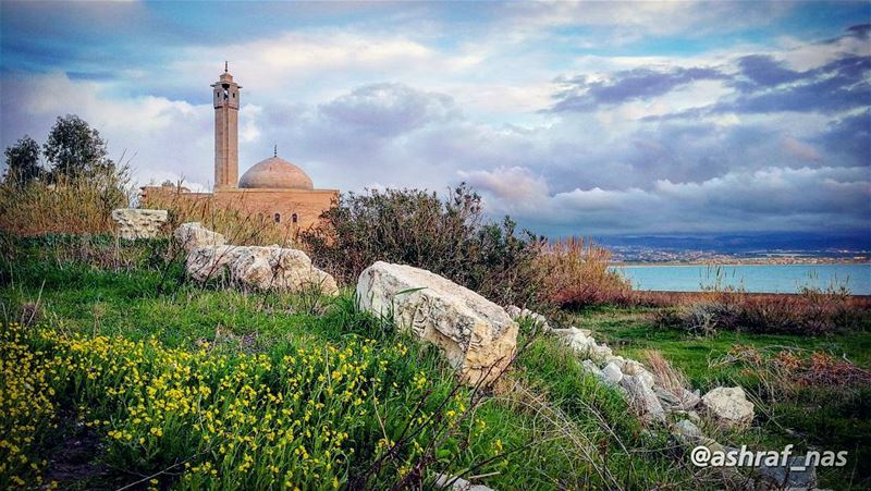 أناجيك في سرّي وفي القلب حسرةوفي العين دمع دافق غزيروفوق الربى حيث التقيت (Roman ruins in Tyre)