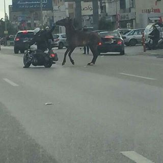 أوتوستراد  خلدة يتحول الى ميدان سباق خيل!في حادثة غريبة من نوعها، تحول أو