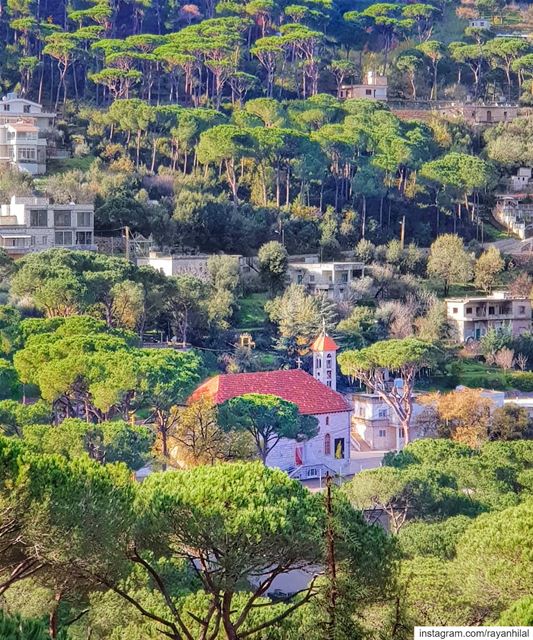 أومنْ أنْ في صمتِ الكونِ المقفلِ من يُصغي لي................. (Hasbayya, Mont-Liban, Lebanon)