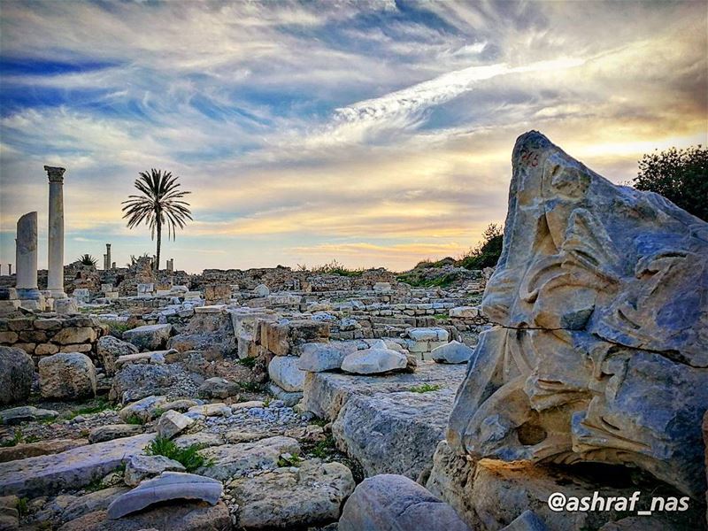 أيها الناعم في دنيا الخيالتذكر العهد وماضي الصفحات...لا على بالك ما طاف ب (Roman ruins in Tyre)