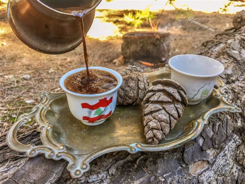 إذا أردت أن تعرف قيمة الأشياء من حولك ....ببساطه تخيل انك تراها للمرة الأخي