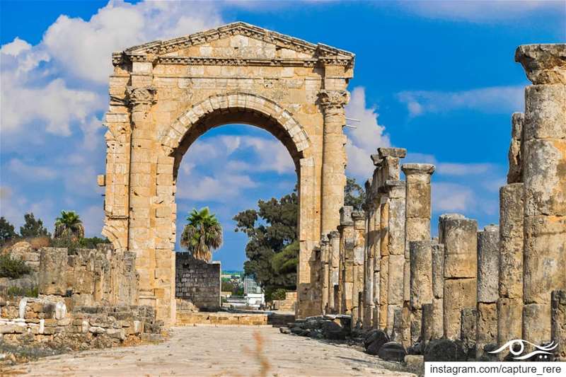 إذا نظرتم إلى التاريخوجدتموه يكرر نفسهكأن الدنيا تقول تعلم يا أنسريم مرع (Tyre, Lebanon)