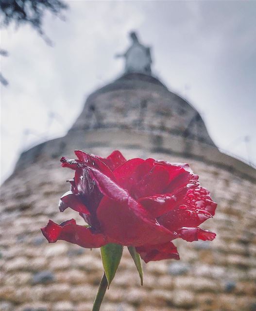 إليك الورد يا مريم ❤️🙏🏻🌹________________________________________... (The Lady of Lebanon - Harissa)