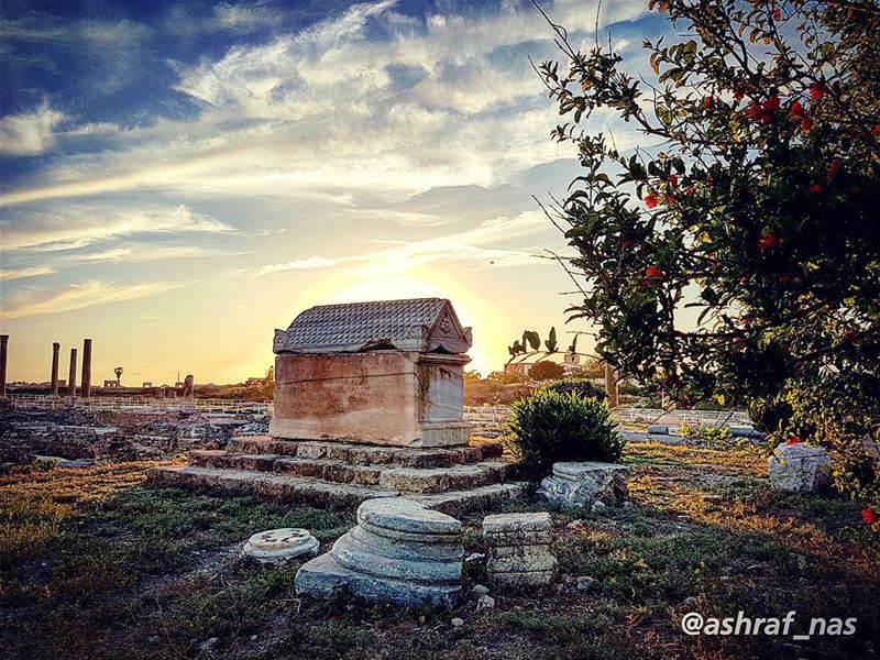 إني اخترُتك يا وطني حُبّاً وطواعيةإني اخترتك يا وطني سِراً وعلانية...إن (Roman ruins in Tyre)