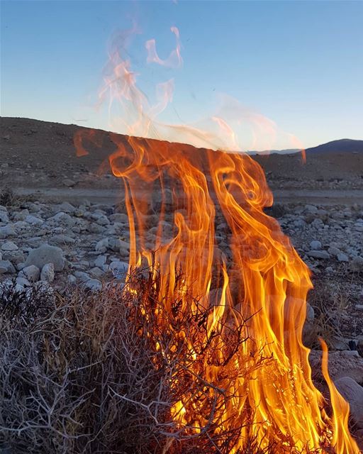 إنَّ البصر يخدع ، والسمع يخدع ، أما القلب فلا يخدع أبدا. - نجيب محفوظ...